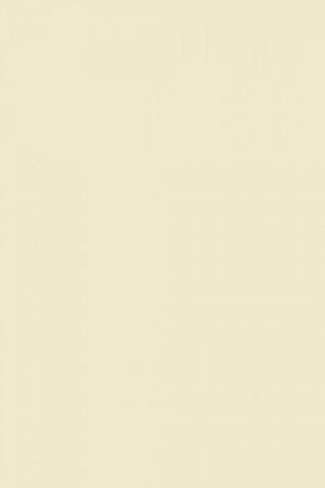 FARROW AND BALL HOUSE WHITE NO. 2012 PAINT